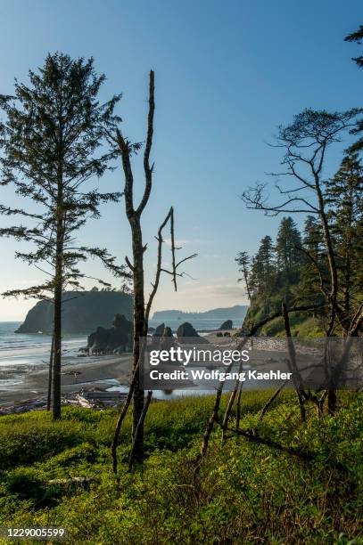 View of Ruby Beach in the Olympic National Park in Washington State, USA.