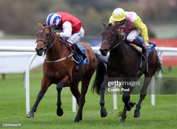 Top Of The Pops ridden by Silvestre de Sousa wins the British Stallion Studs EBF Reference Point Novice Stakes at Leicester Racecourse on October 13,...