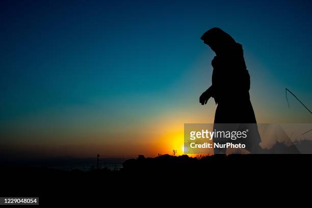 Signle lady walks in the hills of Lesvos island to avoid the police. Silhouettes of walking refugees and migrants on the hills early in the morning...