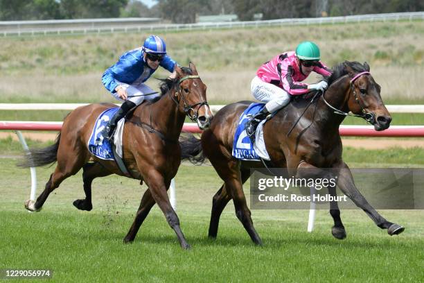 Flat Kapper ridden by Dylan Dunn wins the Timmy Berry Memorial 4YO+ Maiden Plate at Hamilton Racecourse on October 14, 2020 in Hamilton, Australia.