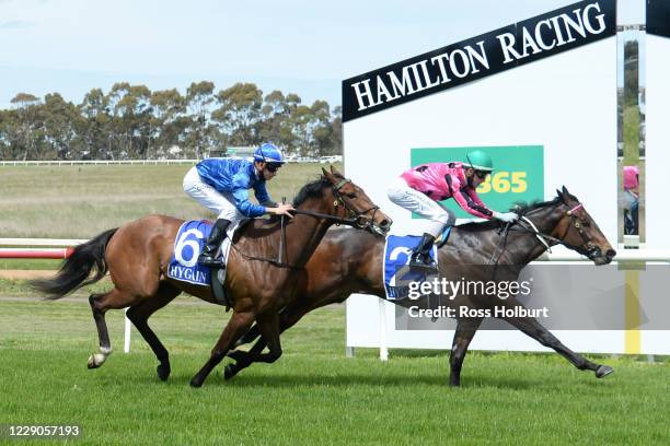 Flat Kapper ridden by Dylan Dunn wins the Timmy Berry Memorial 4YO+ Maiden Plate at Hamilton Racecourse on October 14, 2020 in Hamilton, Australia.