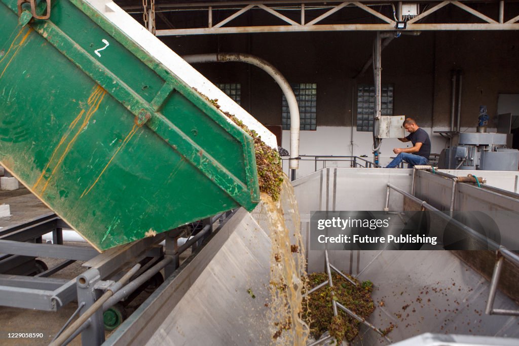 Grape Processing On the premises of the grape processing unit at a winery in... News ...