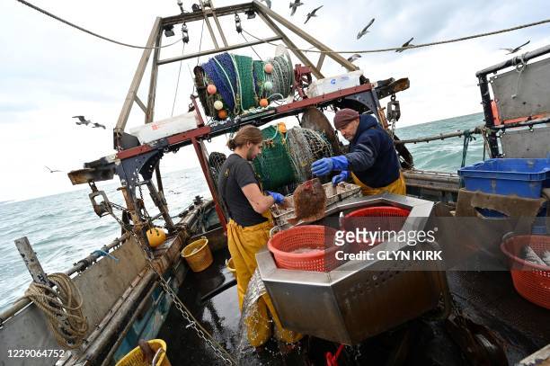 Newhaven fishing boat skipper Neil Whitney and deckhand Nathan Harman sort fish aboard the Newhaven fishing boat 'About Time' after the second trawl...