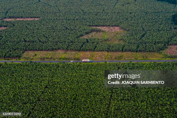 Aerial view of banana plantations in Uraba region, Antioquia department, Colombia, during a surveillance mission to Choco department of a Colombian...
