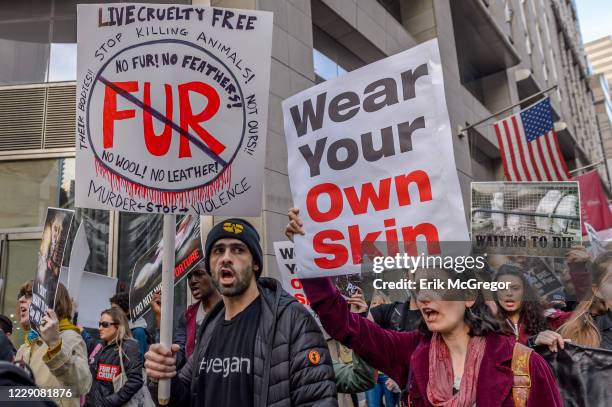 At the steps to the New York Public Library on Fifth Avenue and 42nd St., hundreds of members of Caring Activists Against Fur , Long Island...