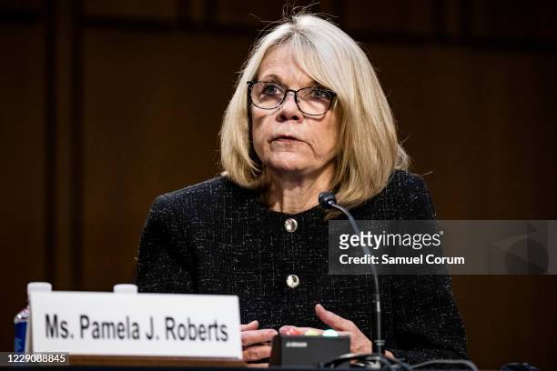 Pamela Roberts, of Bowman and Brooke LLP, testifies before the Senate Judiciary Committee on the fourth day of Supreme Court nominee Judge Amy Coney...