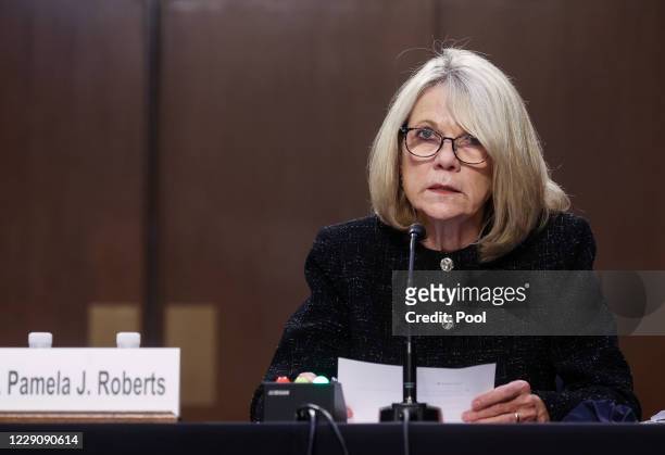 Pamela Roberts of Bowman and Brooke LLP in Columbia, SC, reads a statement as she testifies before the Senate Judiciary Committee on the fourth day...