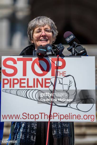 Anne Marie Garti, a founding member of STP and an attorney volunteering with the Pace Environmental Litigation Clinic , which represents it. Just...