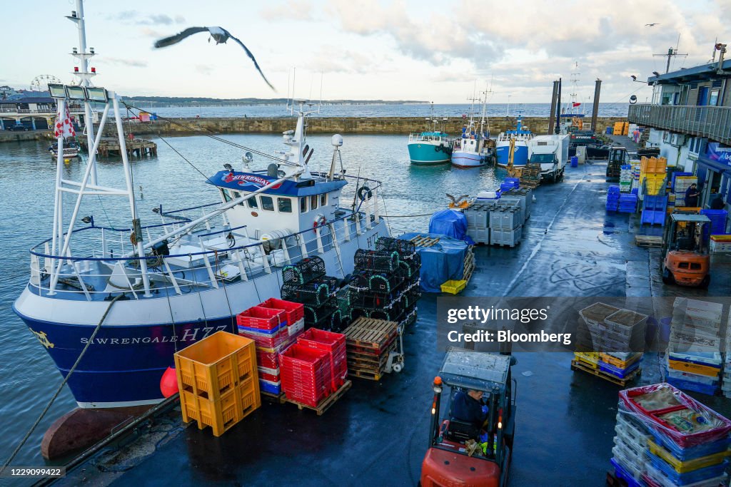 U.K. Shellfish Industry As Fishing Key To Brexit Talks