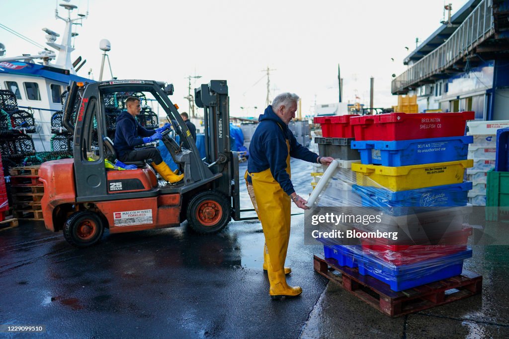 U.K. Shellfish Industry As Fishing Key To Brexit Talks