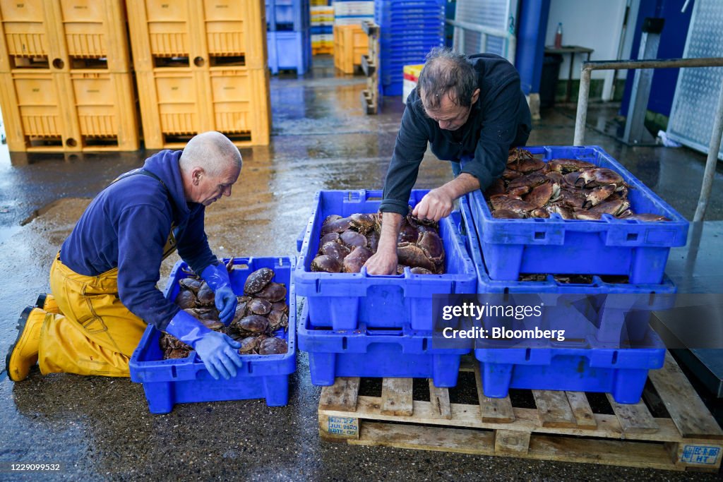 U.K. Shellfish Industry As Fishing Key To Brexit Talks