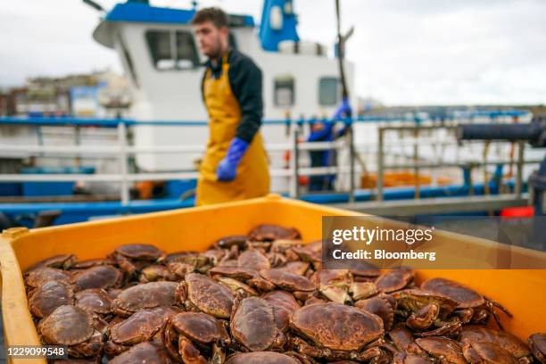 Worker passes a crate of freshly-caught crab on the dockside in Bridlington, U.K., on Thursday, Oct. 15, 2020. The U.K.'s exit from the European...