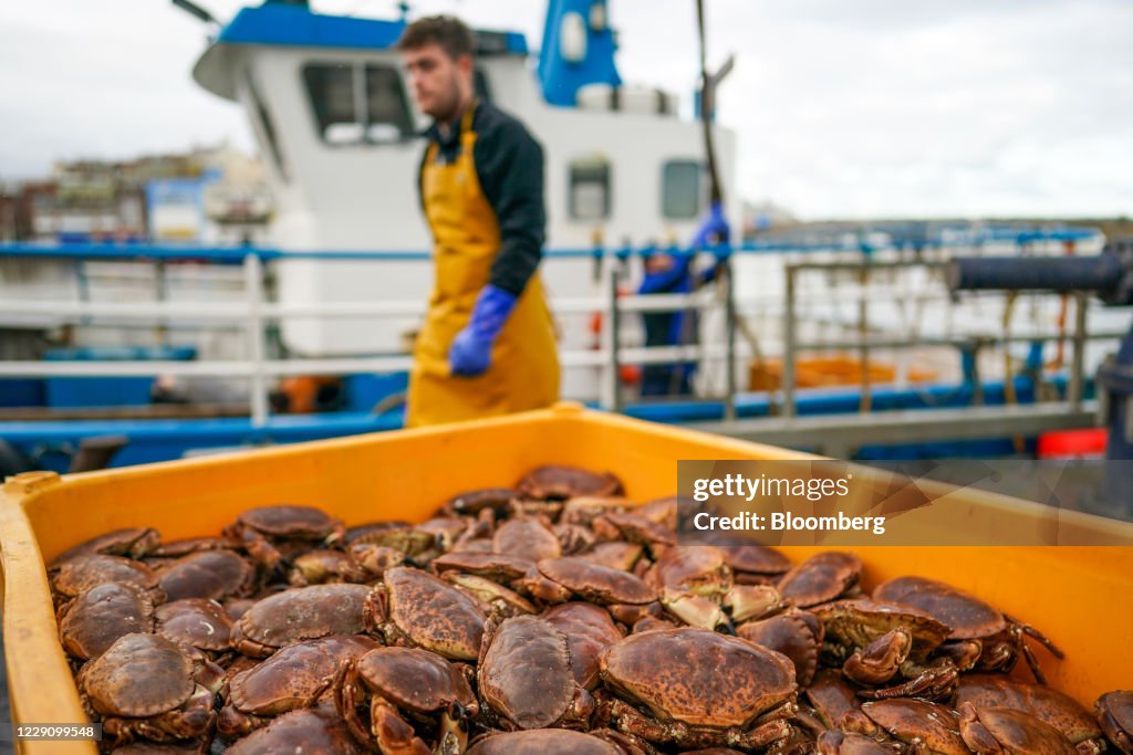 U.K. Shellfish Industry As Fishing Key To Brexit Talks