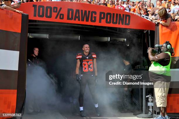 Wide receiver Brian Hartline of the Cleveland Browns stands in the tunnel during player introductions prior to a game against the Oakland Raiders on...