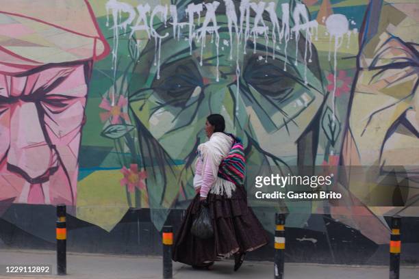 Woman walks in front of a graffiti with an image of Donald Trump and Xi Jinping on October 14, 2020 in El Alto, Bolivia. Bolivia now has over 135,000...