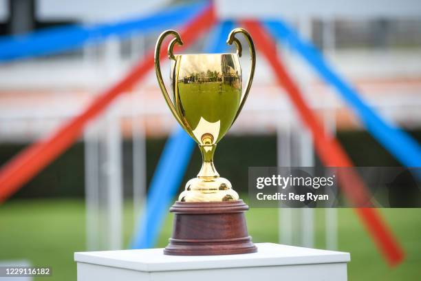 Caulfield Cup Hero on Caulfield Cup Day at Caulfield Racecourse on October 17, 2020 in Caulfield, Australia.