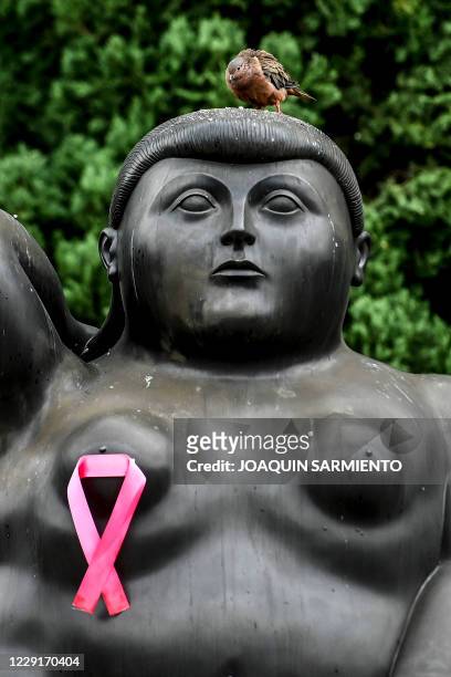 Statue by Colombian artist Fernando Botero bears a pink ribbon as part of the breast cancer awareness month, in Medellin, Colombia, on October 19,...