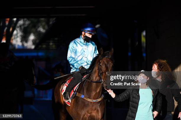 Fascino ridden by Mark Zahra makes her way on to the track during Breakfast With The Best trackwork at Moonee Valley Racecourse on October 20, 2020...