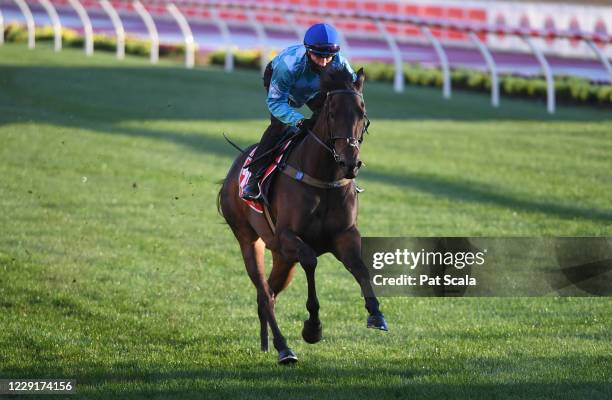 Fascino ridden by Mark Zahra gallops during Breakfast With The Best trackwork at Moonee Valley Racecourse on October 20, 2020 in Moonee Ponds,...