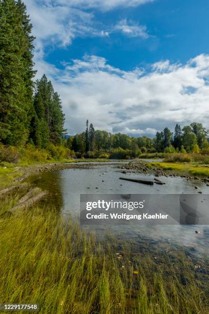 Early fall landscape along the shore of Lake Wenatchee at Lake Wenatchee State Park in eastern Washington State, USA.