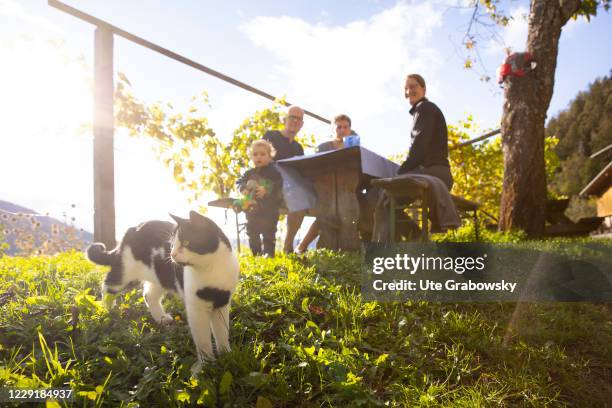 In this photo illustration a family and a cat at a picnic in autumn on October 12, 2020 in St. Peter, Italien.