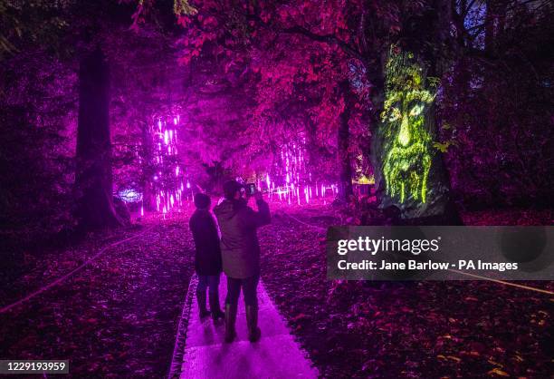 Visitors walk through the woodlands and hidden gardens of Hopetoun House, South Queensferry, during a preview of the Wondrous Woods light trail.