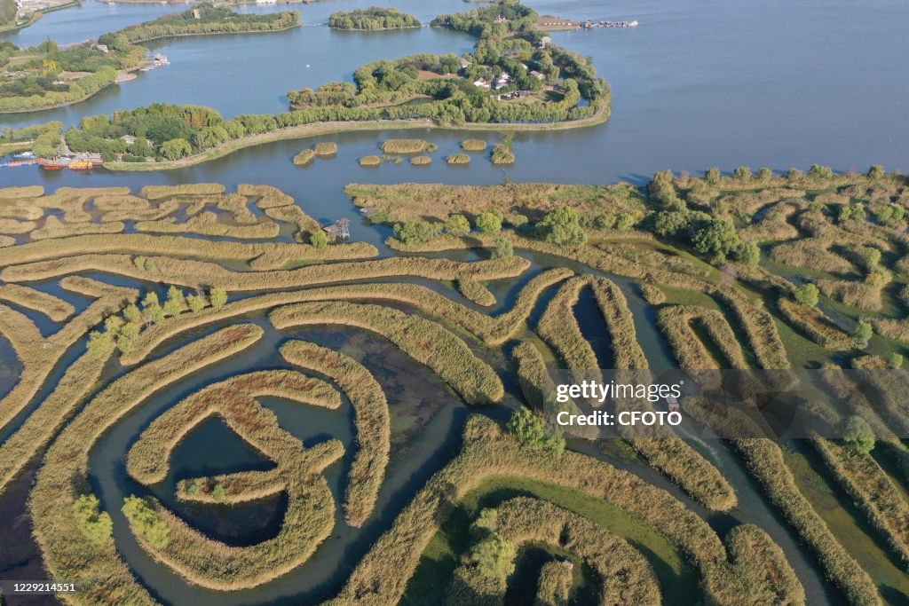 Chinese Labyrinth YANCHENG, CHINA - OCTOBER 22, 2020 - Tourists enjoy the autumn... News ...