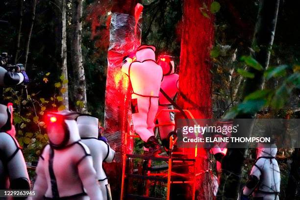 Washington State Department of Agriculture workers, wearing protective suits and working in pre-dawn darkness illuminated with red lamps, vacuum a...