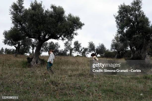 People walk among the olive trees in Mompeo, the heart of Sabina, famous for the production of olive oil on October 25, 2020 in Rieti, Italy. The...