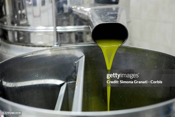 Olive oil in the oil mill "il Viarino" being made, in Mompeo, the heart of Sabina, famous for the production of olive oil on October 25, 2020 in...