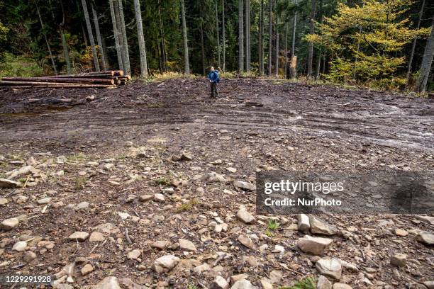 Hikers are seen walking in a forest amid Covid19 pandemic in Beskidy mountains in the south of Poland on October 24, 2020. Since Saturday, October 24...