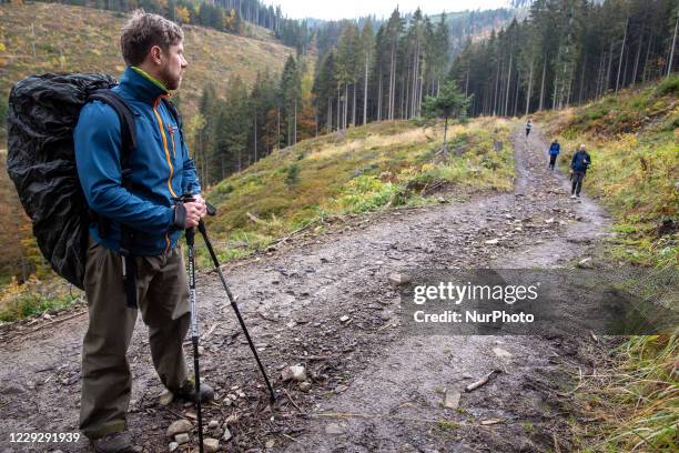 Hikers are seen walking in a forest amid Covid-19 pandemic in Beskidy mountains in the south of Poland on October 24, 2020. Since Saturday, October...