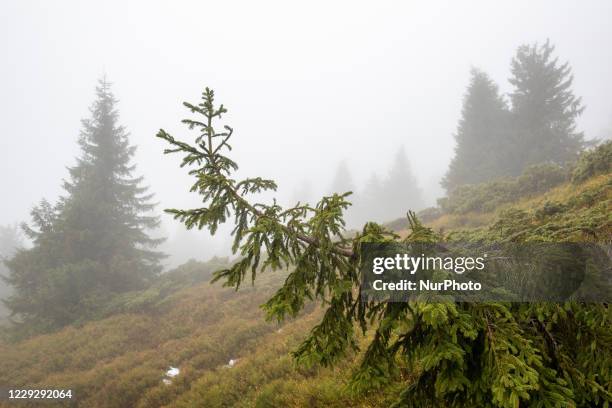 Forests turn misty and colorful in autumn season in Beskidy mountains in the south of Poland on October 24, 2020. Since Saturday, October 24 whole...