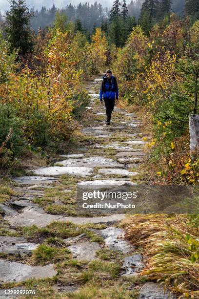 Hikers are seen walking in a forest amid Covid-19 pandemic in Beskidy mountains in the south of Poland on October 24, 2020. Since Saturday, October...