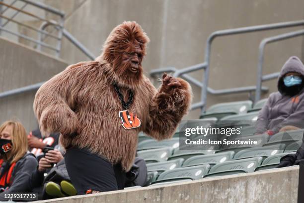 Cincinnati Bengals fans dresses up like Bigfoot during the game against the Cleveland Browns and the Cincinnati Bengals on October 25 at Paul Brown...