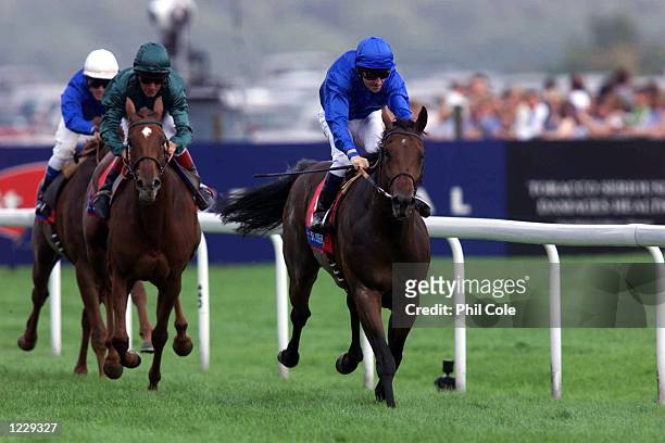 The Rothmans Royals St Leger Stakes is won by Mutafaweq ridden by Richard Hills at Doncaster Racecourse. Mandatory Credit: Phil Cole/ALLSPORT