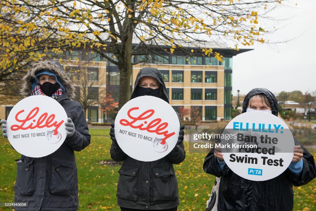 PETA Calls On Eli Lilly To Ban Forced Swim Test Bracknell