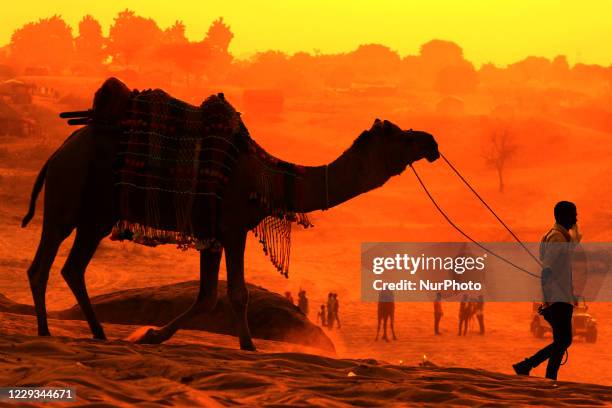 Man walks with his camel at the desert of Pushkar, in the Indian state of Rajasthan on 29 October 2020.