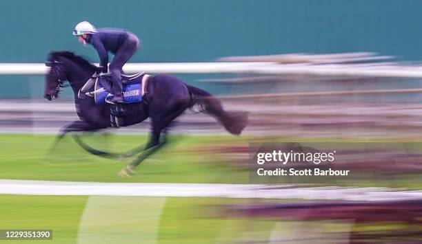Sir Dragonet ridden by James Winks during trackwork Ladbrokes Park Lakeside Racecourse on October 30, 2020 in Springvale, Australia.