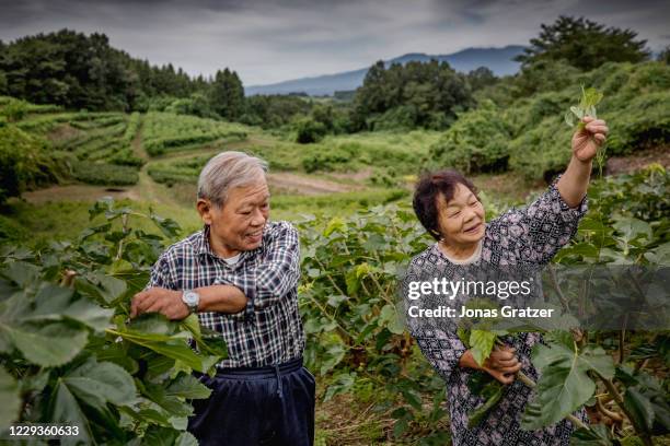 Hideo and Kinuko Takatsuki have remained at their farmhouse and agricultural fields that is located in one of the zones that is accepted to contain...