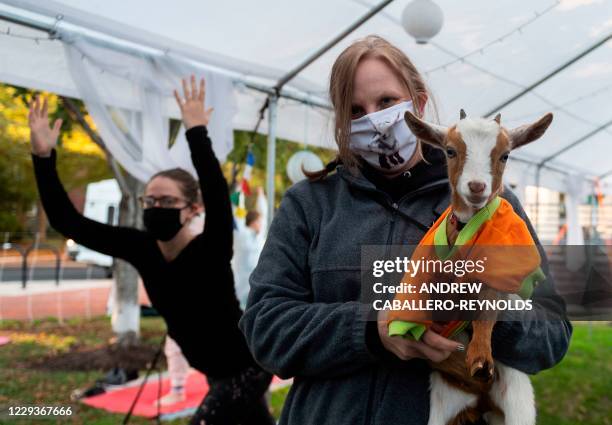 Maureen Noftsinger, owner of Walnut Creek Farms, holds one of her baby goats as a woman does a yoga pose in the background during a Halloween costume...