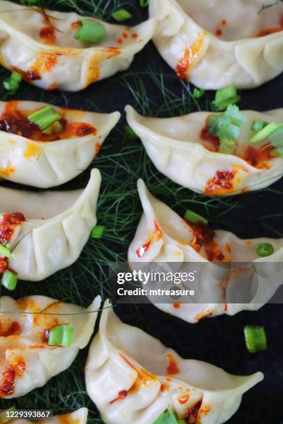 full frame image of steamed momos (south asian dumplings), white flour and water dough filled with chicken, mixed vegetables, drizzled with chilli oil, bed of fennel and garnished with chopped spring onion and coriander leaves, close-up view - dim sum stock pictures, royalty-free photos & images