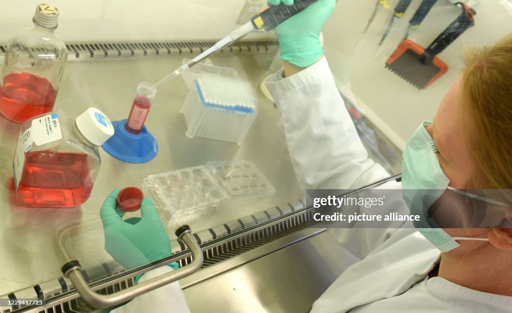 Virology Lab Setup In a laboratory at the Institute of Virology at the University... News ...