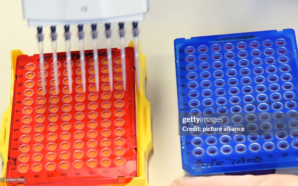 Medical laboratory Dessau