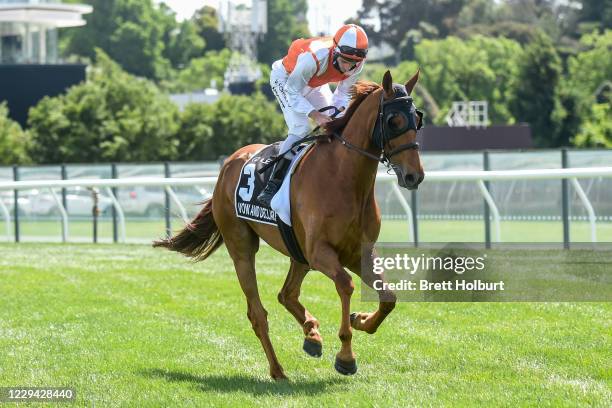 Vow And Declare ridden by Jamie Mott prior to the Lexus Melbourne Cup at Flemington Racecourse on November 03, 2020 in Flemington, Australia.