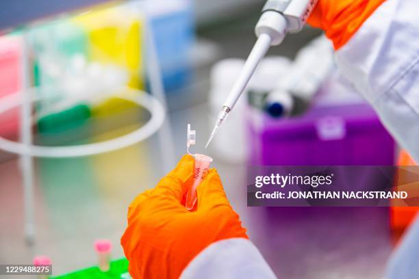 Cecilia Williams, professor at the Science for Life Laboratory, demonstrates how she tests samples for RNA on November 5, 2020 in Solna, near...