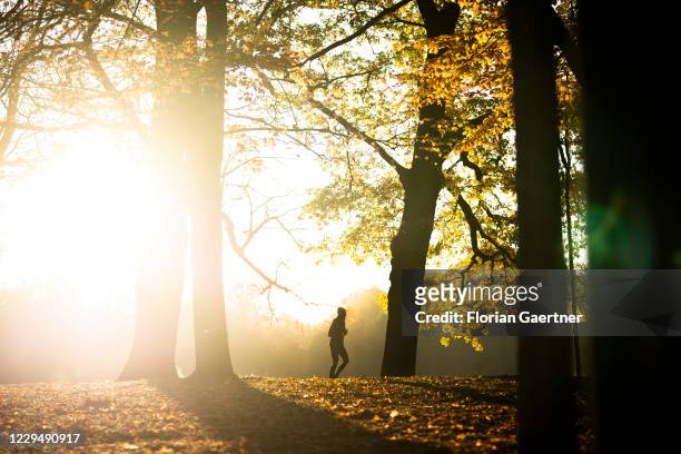 Jogger is pictured during evening light on November 06, 2020 in Chemnitz, Germany.