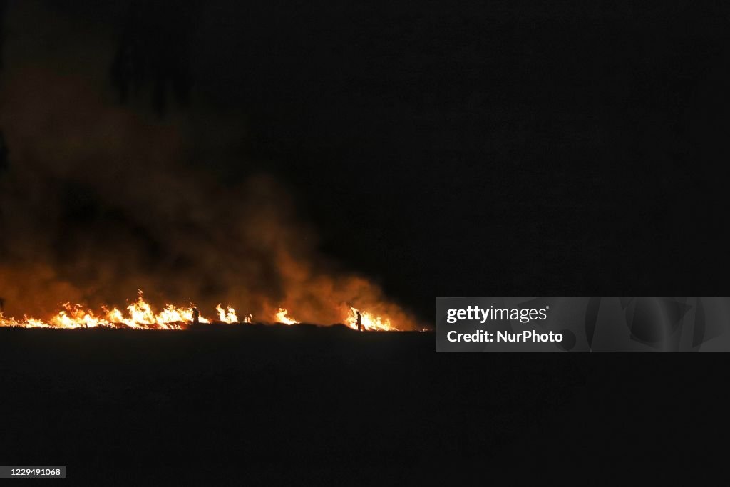 Stubble Burning In Punjab