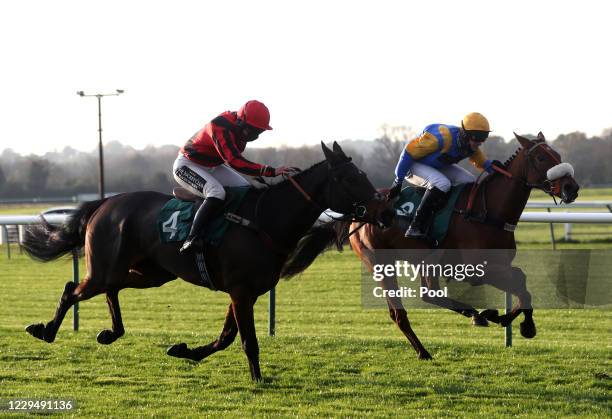 Flirtatious Girl ridden by jockey David Bass on their way to win the British EBF Mares' Standard Open NH Flat Race at Warwick Racecourse on November...