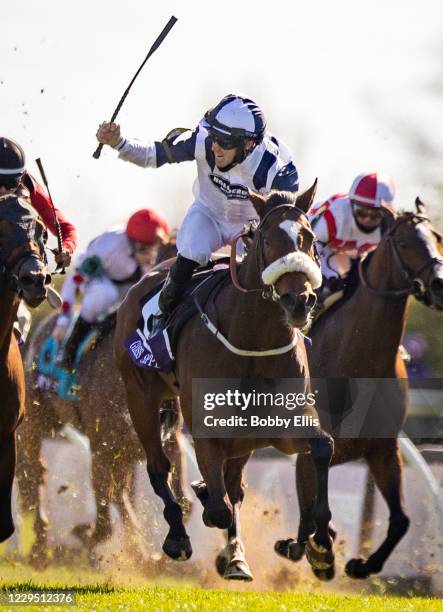 Tom Eaves, riding Glass Slippers, celebrates as he crosses the finish line to win the Turf Sprint on the second day of the Breeders Cup at Keenland...